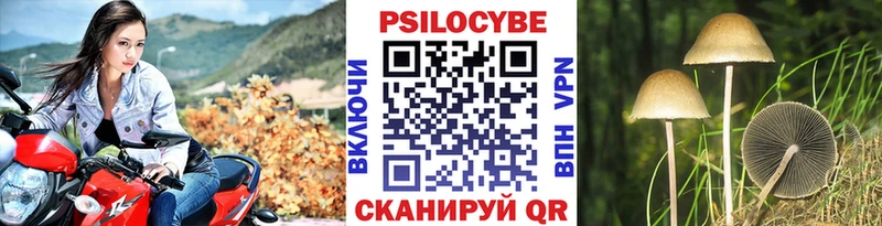 Галлюциногенные грибы Psilocybe  Зуевка 